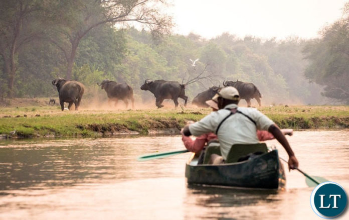 Lower Zambezi