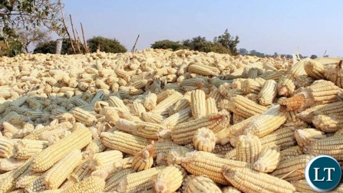 Minister of Agriculture Hon. Michael Katambo has encouraged farmers to start collecting their farming inputs for early preparations of the farming season. Mr. Katambo said farmers in the Northern region where the forecast indicated that there will be good rainfall pattern will receive through direct input supply.