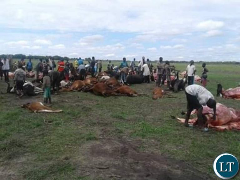 Anthrax breaks out in Nalolo district