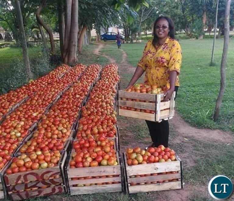 Solwezi stakeholders elated with revamping of school production units