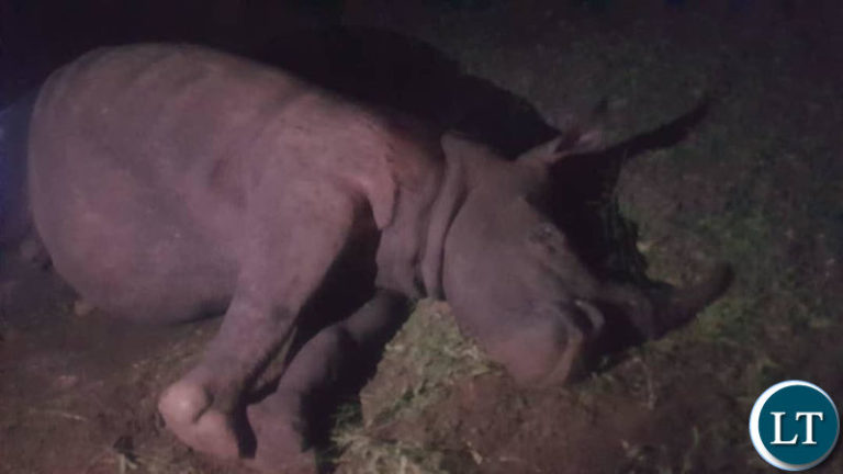 2 White Rhinos killed in Mosi Oa Tunya National Park in Livingstone