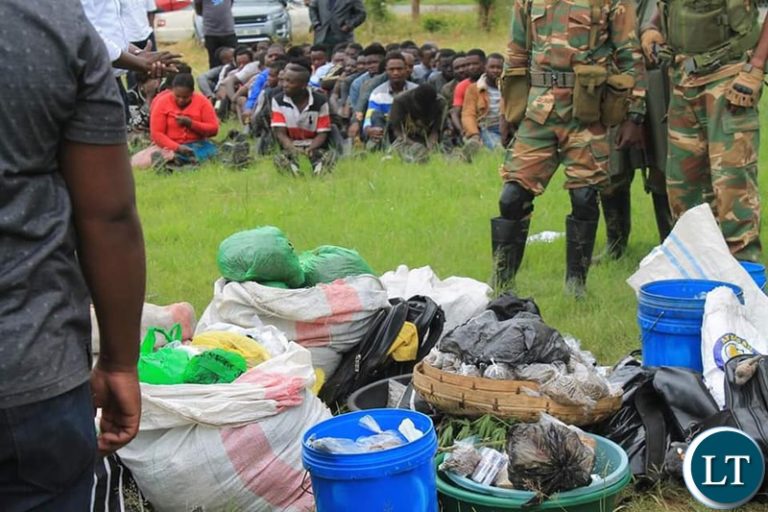 DEC arrests 50 in Chibolya compound for drug trafficking