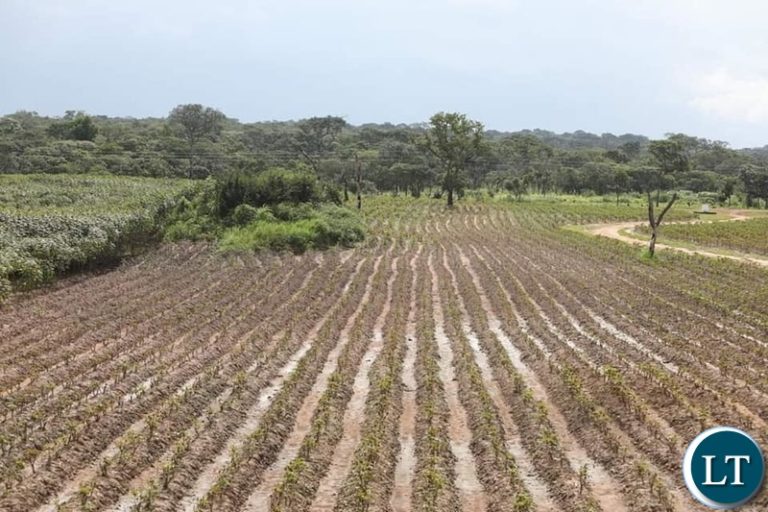 Agriculture key to economic recovery, youths told
