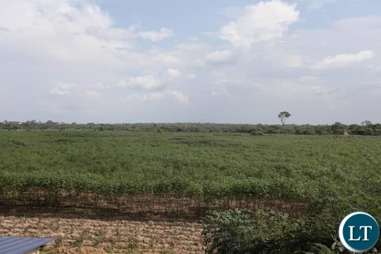 CEEC applauds Kasama farmers  for embracing its cassava value chain project