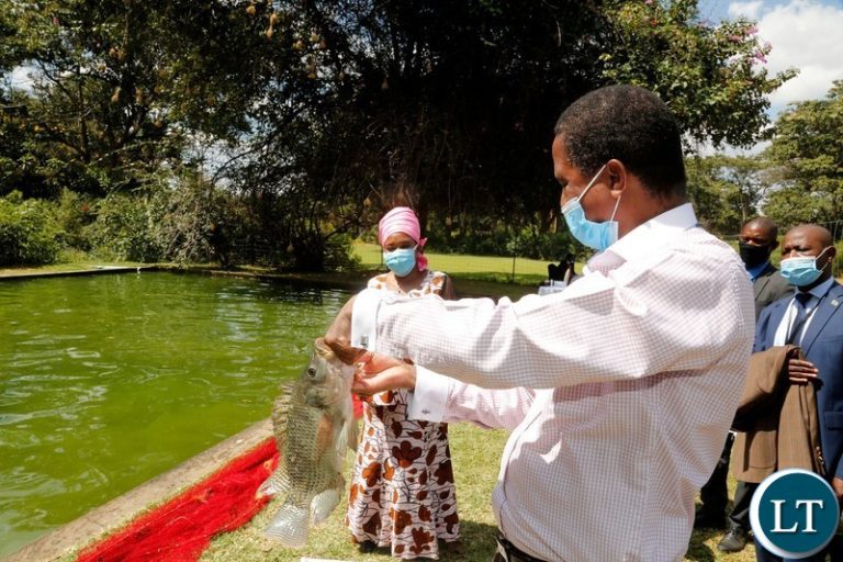 With the Board in Place, CEEC will start disbursing funds-President Lungu