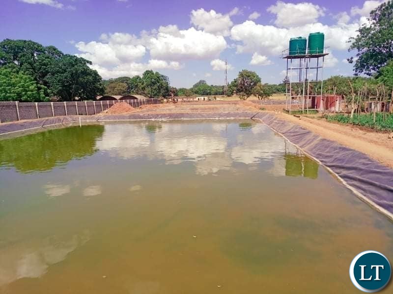 Fish harvesting ceremony at Lusaka Girls and Kabulonga Boys Secondary School in Lusaka