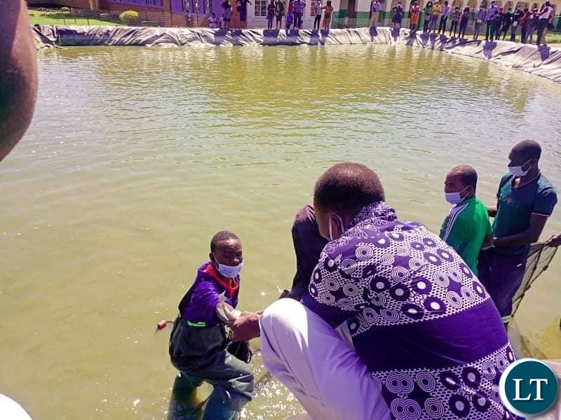 Fish harvesting ceremony at Lusaka Girls and Kabulonga Boys Secondary School in Lusaka