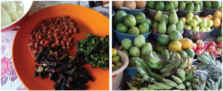 Malnutrition among Children with Disabilities: Challenges and Opportunities for Zambia