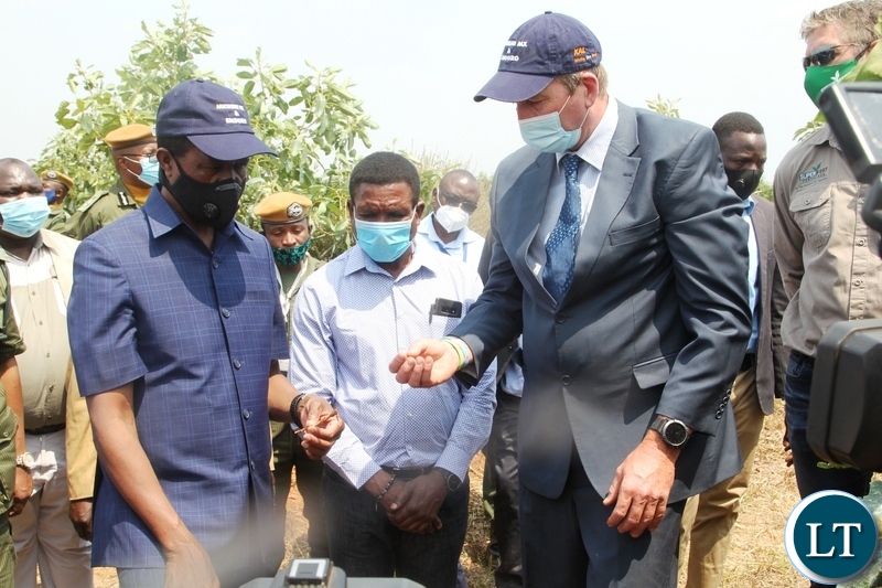 President Edgar Lungu is shown some roots by Mr Stewart Parkes the host farmer of avocado plantation cropit farm in Mkushi .while Agriculture Minister Michael Katambo (centre)looks on
