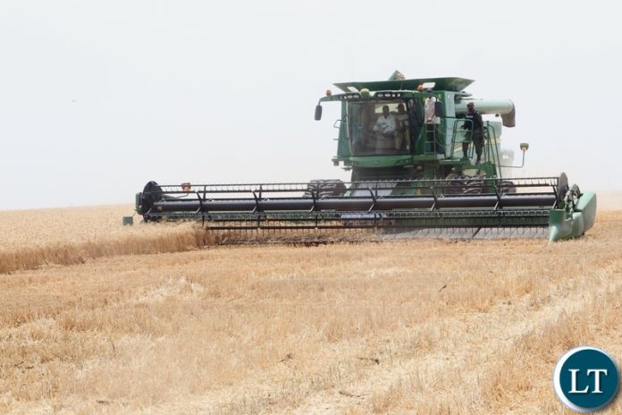 President Edgar Lungu operating the combine harvester during the launch of the national wheat harvest at chobe Agrivision farm in Mkushi district central province