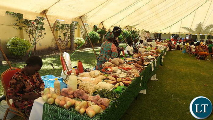 Exhibition at the 2nd National Food and Seed Festival in Lusaka