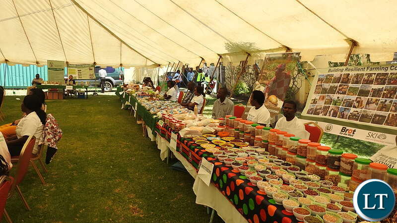 Exhibition at the 2nd National Food and Seed Festival in Lusaka