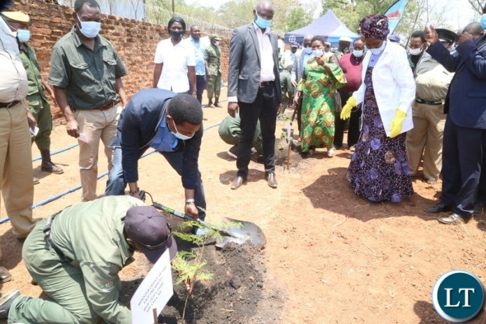 Minister of Agriculture Michael Katembo planting a tree whilst Vice President Inonge Wina looks on during the launch of Msekera Regional Soils Laboratory in Chipata District. Saturday 17, 2020. Picture by ROYD SIBAJENE/ZANIS Minister of Agriculture Michael Katembo planting a tree whilst Vice President Inonge Wina looks on during the launch of Msekera Regional Soils Laboratory in Chipata District. Saturday 17, 2020. Picture by ROYD SIBAJENE/ZANIS