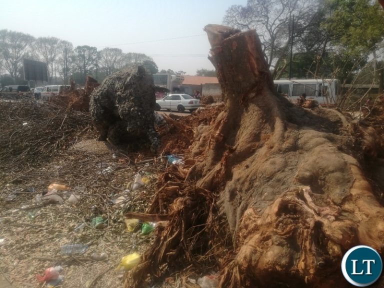 SEPA  intensifies awareness programmes to curb environmental degradation