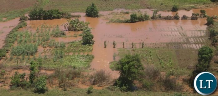 The washed aways mainze fields in Mumbwa District after the Kandesha dam burst it banks creating flash floods yesterday. Sunday, December 27, 2020. Picture by ROYD SIBAJENE/ZANIS The washed aways mainze fields in Mumbwa District after the Kandesha dam burst it banks creating flash floods yesterday. Sunday, December 27, 2020. Picture by ROYD SIBAJENE/ZANIS