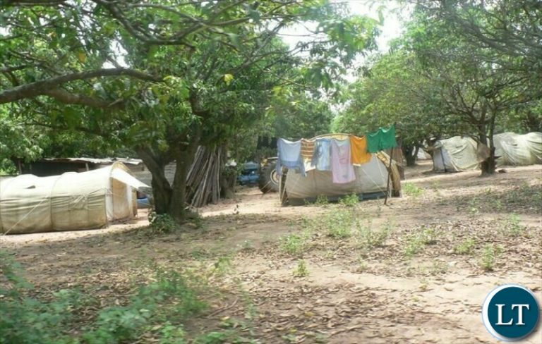 President Lungu allows partial settlement in Ichimpe forest reserve