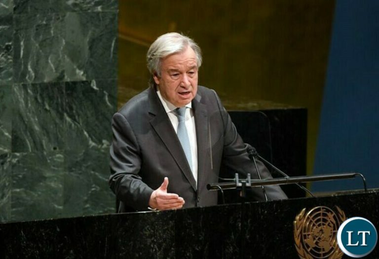 UN chief calls for forest conservation