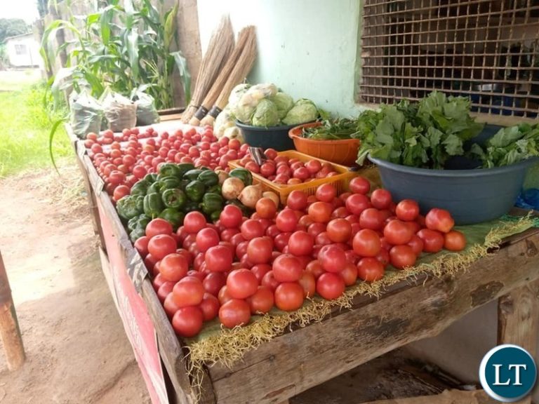 Bridging the Food Security Gap: Collaborative Strategies for African and Arab Nations