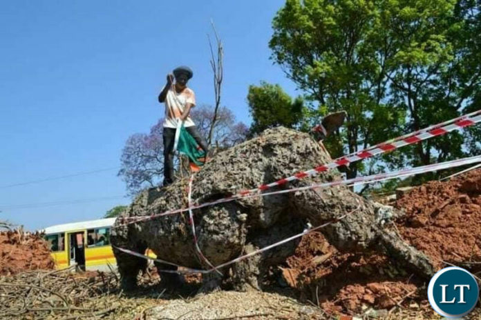 Rhino sculpture which was one of the most significant contemporary environmental art pieces Lusaka had Rhino sculpture which was one of the most significant contemporary environmental art pieces Lusaka had