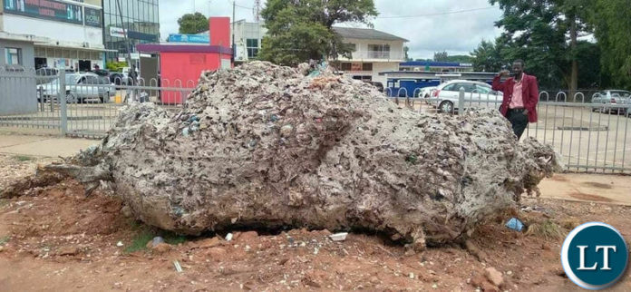 Rhino sculpture which was one of the most significant contemporary environmental art pieces Lusaka had Rhino sculpture which was one of the most significant contemporary environmental art pieces Lusaka had