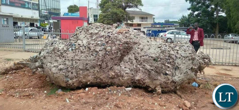 Rhino sculpture at Longacres razed to pave way for road construction