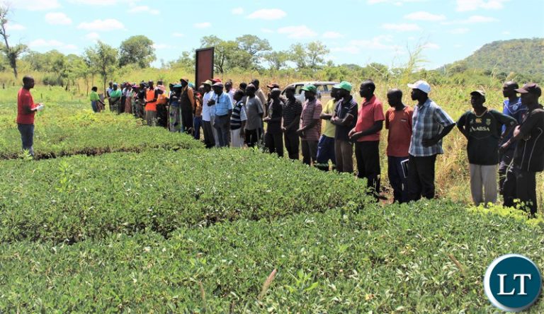 ZNFU Statement On the Lands And Deeds Registry Amendment Bill  2025