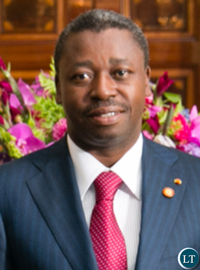 Togo calls for closer health collaboration with Zambia