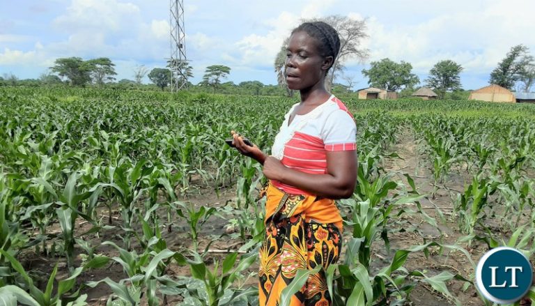 Over K74 Million Disbursed to Central Province Farmers Under Climate-Resilient Loan Scheme