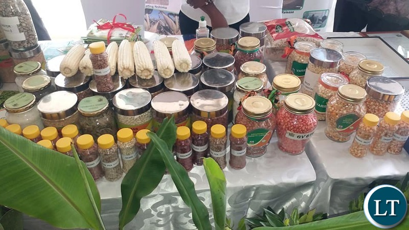 Zambia Agricultural Research Institute (ZARI) displaying the farming produce