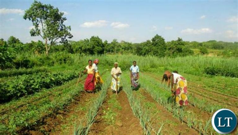 President Lungu empowers over 50 Lusangazi cooperatives