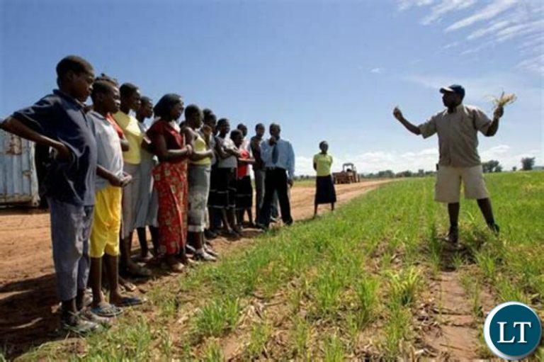 Sinazongwe youths empowered