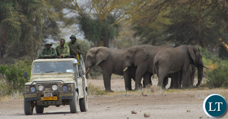 Communities urged to participate in wildlife protection