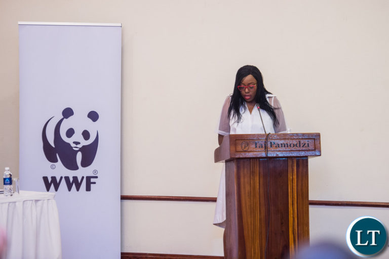 The value of  the Zambezi: putting together the puzzle pieces for sustainable investment