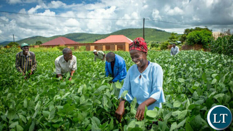 Is Zambian Economy showing Recovery Signs?