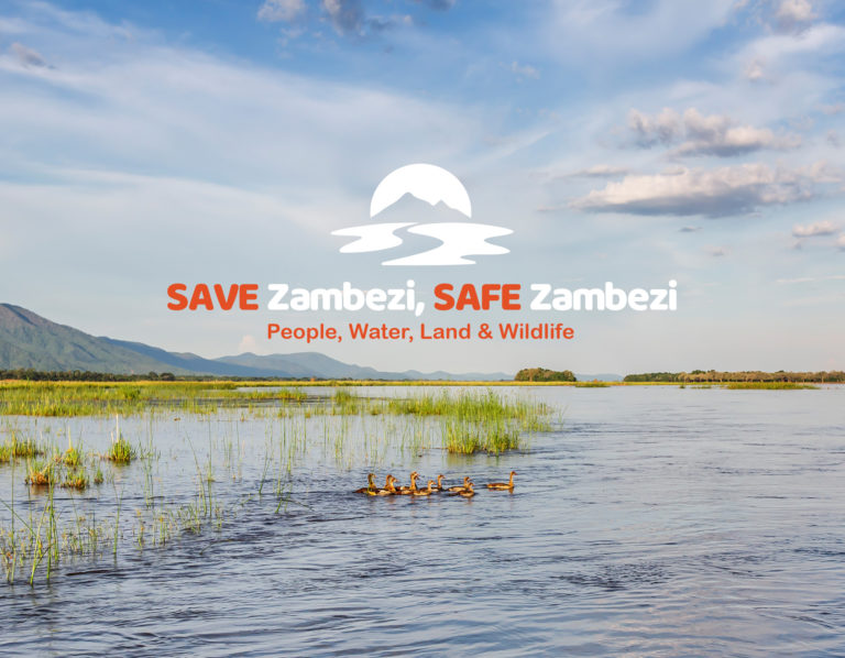 The Threat Of Harmful Development On The Zambezi River Basin
