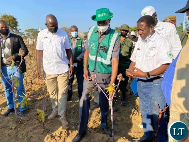 Government planning to enhance castor production-President Lungu
