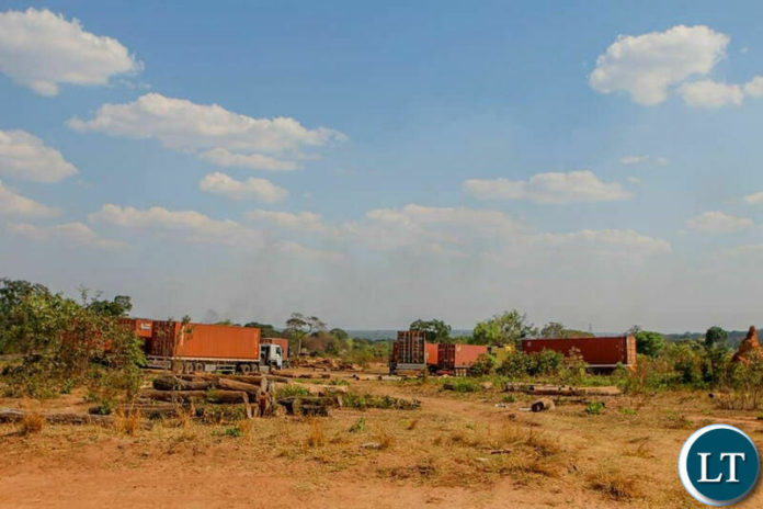 Trucks at the ZAPID Farms awaiting for clearance from the Ministry of Lands.