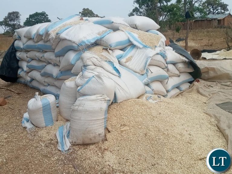 Luwingu runs out of space for storing maize