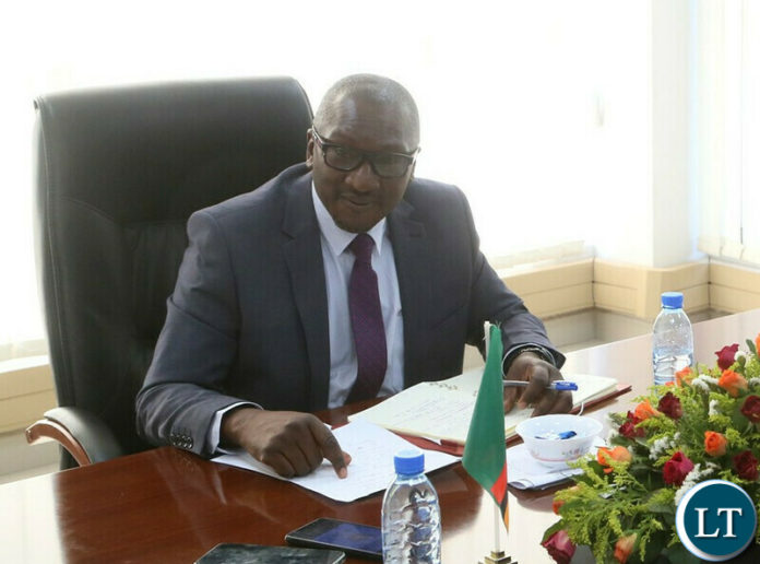 Minister of Green Economy and Environment Collins Nzovu