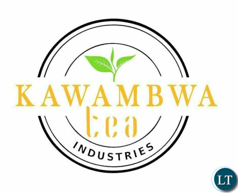 Kawambwa Tea Earns $1 Million from Exports, Creates Over 500 Jobs