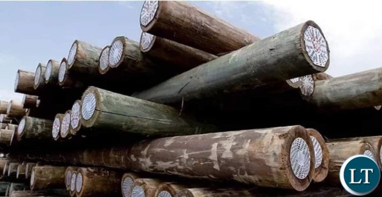 ZESCO gives 107 million wooden pole tender to South African, Zimbabwean companies