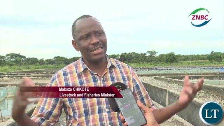 UPND Government’s Response to Allegations of Harassment Against Former President