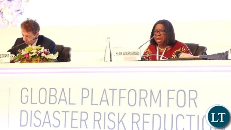 VEEP calls for global collaboration in disaster battle