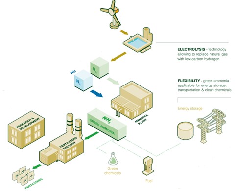 Figure 7: Green ammonia and low carbon fertiliser production [5]