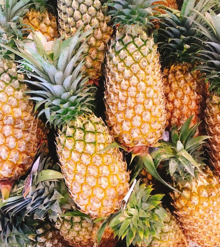 North-Western farmers urged to grow more fruits