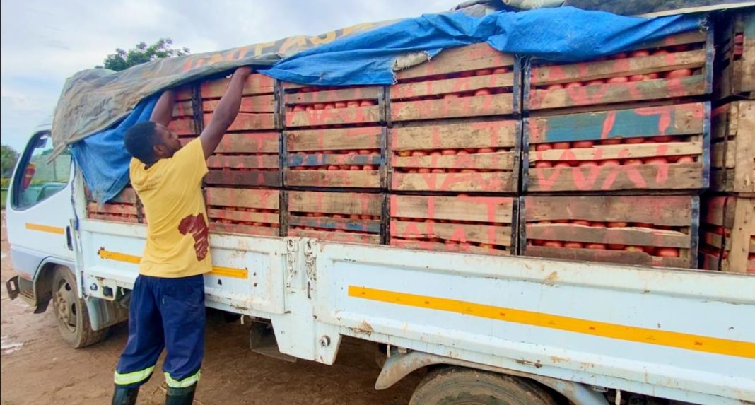 Stop dumping vegetables at markets- ZNFU
