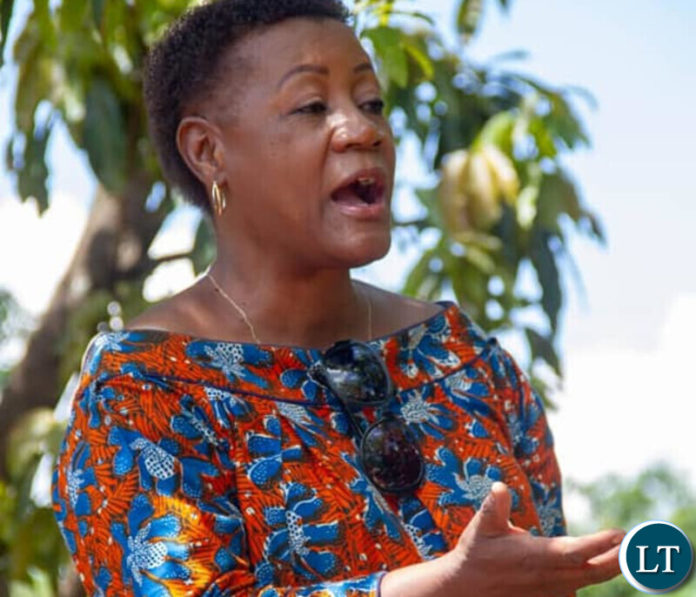 Chishala Kateka is the President for the New Heritage Party.