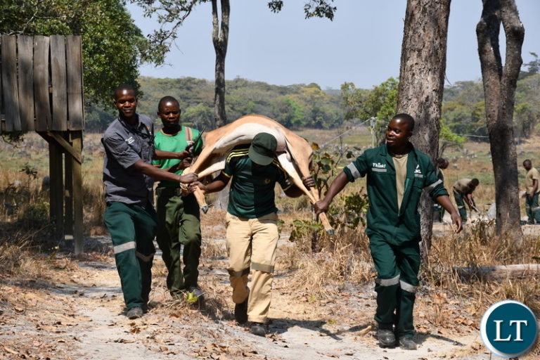 FQM Trident Ltd  Donates Animals to Lunga West National Park
