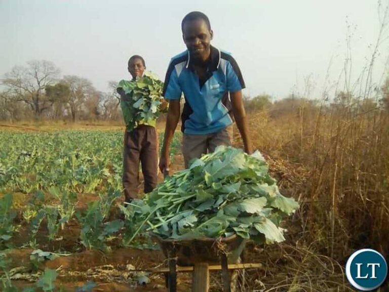 Africa in urgent need of increased investment in climate adaptation and resilience