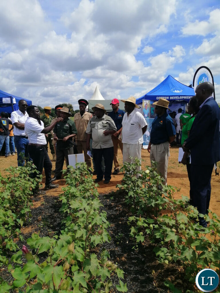 State acts to stimulate cotton sector